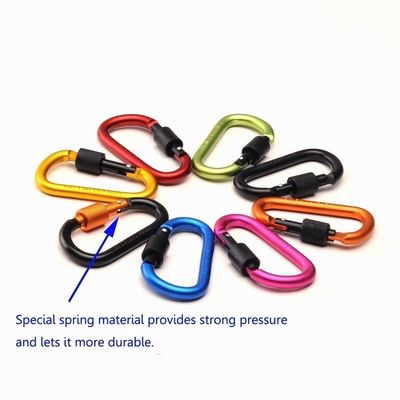 D-vorm Aluminium Sleutelhanger Carabiner Clip met Schroef slot Houd uw sleutels veilig en veilig